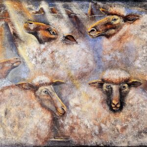 Pirmieji saulės spinduliai